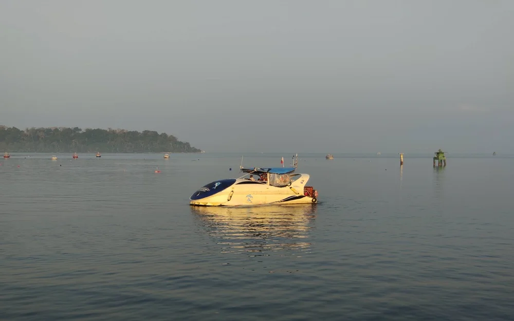 Andaman Dolphin Boat Ride
