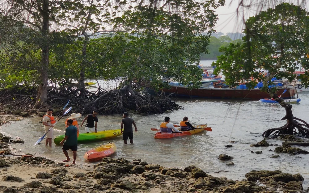 Kayaking at Havelock
