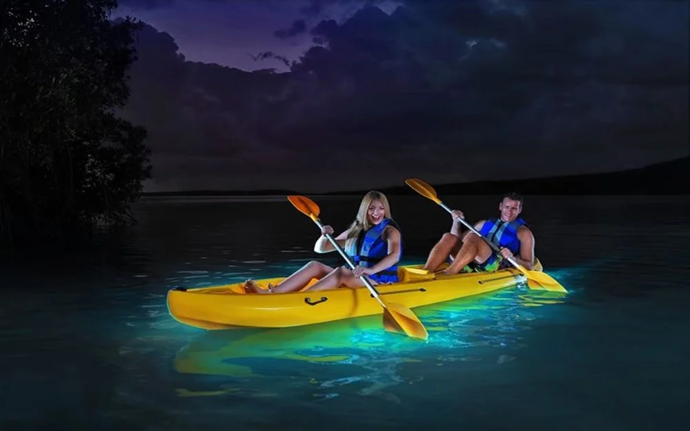 Bioluminescent Night Kayaking