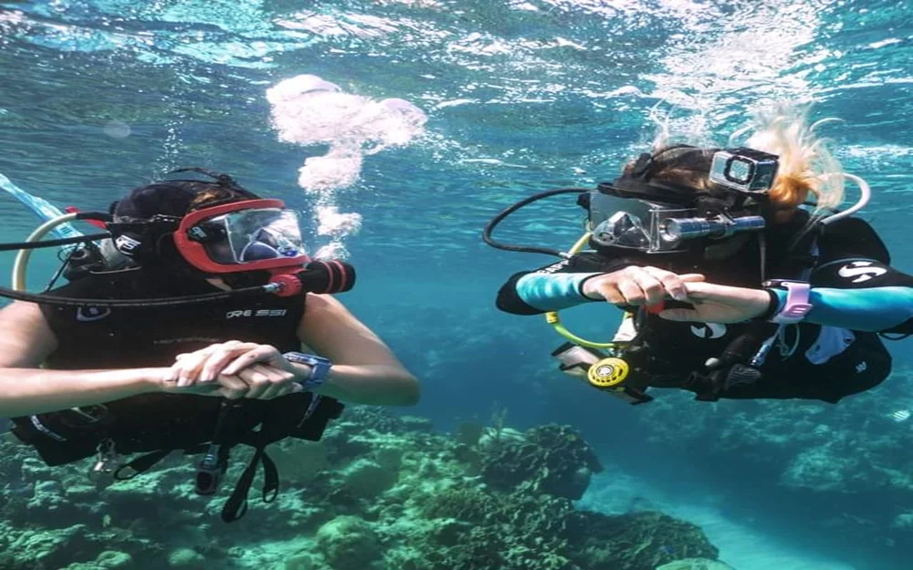 Scuba Diving at North Bay Island