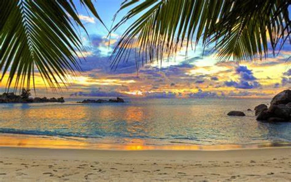 Beach Sun Rise