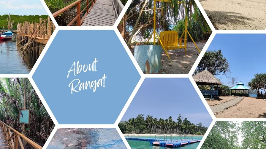 Collage image