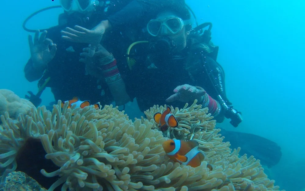 Scuba Diving at Havelock