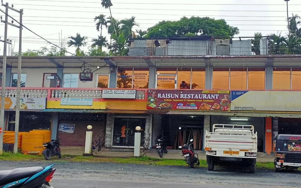 hotel disney world, diglipur