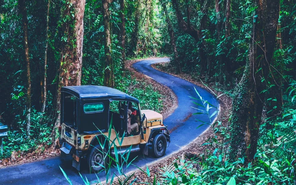 Road to mud volcano, Baratang