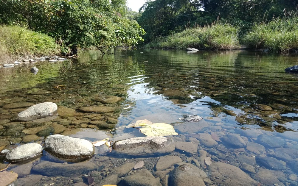khudirampur, diglipur