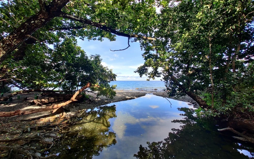 moris dera fresh water pond, Rangat