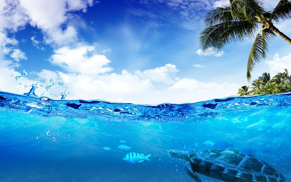 an artistic image of sea and sky